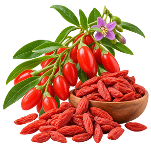 WOLFBERRY (GOJI BERRY)