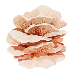 MAITAKE