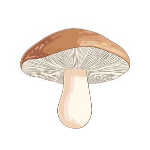 SHIITAKE