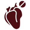 Liver & Kidney Wellness†